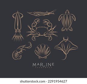 Filigree swirl sea and ocean creatures squid, fish, crab, turtle, shrimp, stingray, shell, scallop drawing on black background
