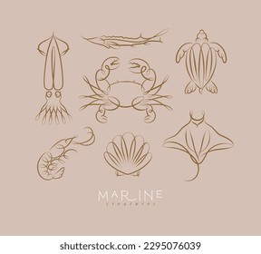 Filigree swirl sea and ocean creatures squid, fish, crab, turtle, shrimp, stingray, shell, scallop drawing on brown background