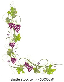 Filigree vine leaves with grapes, vector decoration, green and purple.