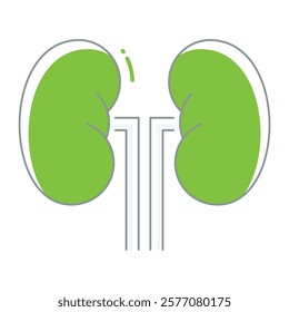 Filled line kidney illustration with anatomical details, suited for nephrology clinics, dialysis guides, and organ donation campaigns.