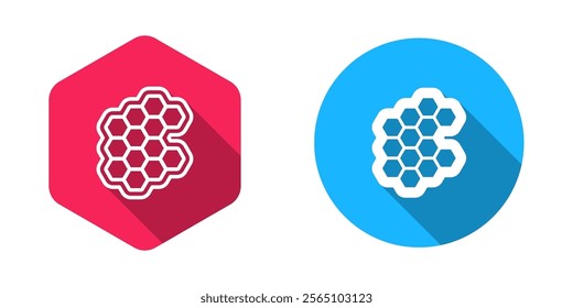 Filled and outline Honeycomb icon isolated with long shadow background. Honey cells symbol. Sweet natural food.  Vector