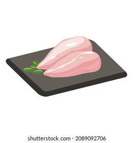 Fillet of chicken breast, healthy food vector Illustration isolated