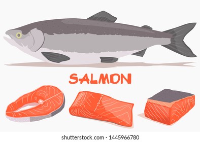 Fillet, steak and fish salmon in cartoon style
