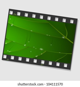 Film frame with green leaf and drops .Vector illustration