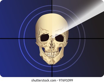 film piracy