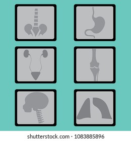 Film x ray vector icon