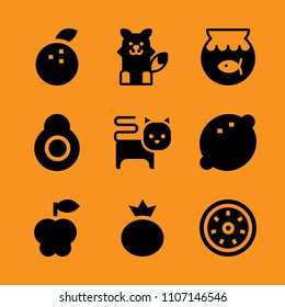 fin, life, hunter and float icon set. Vector illustration for web and design.