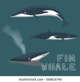 Fin Whale Cartoon Vector Illustration