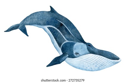 10,631 Watercolor Whale Images, Stock Photos & Vectors | Shutterstock