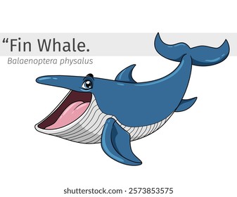 Fin Whale happy cartoon illustration. wildlife animal isolated. marine animal cartoon collection. Whale  Cartoon character