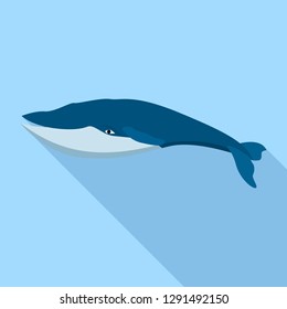 Fin whale icon. Flat illustration of fin whale vector icon for web design