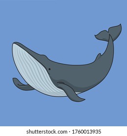 Fin whales are huge whales.