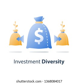 Finance Diversification, Fund Management, Return On Investment, Split Account, Asset Allocation, Financial Distribution, Vector Icon