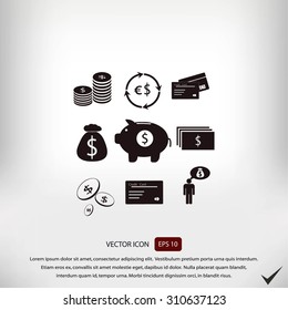 Finance and money icon