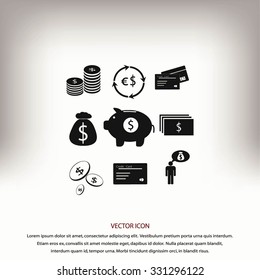 Finance and money icon