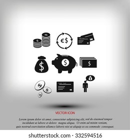 Finance and money icon