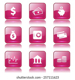 Financial Banking Square Vector Pink Icon Design Set