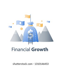 Financial growth concept, investment fund, money bag and ladder, capital allocation and management, vector flat illustration