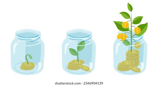 financial growth concept, money plant growing in transparent glass jar