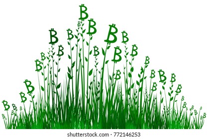 Financial Growth. Fresh grass and dollars isolated on White background. Vector illustration