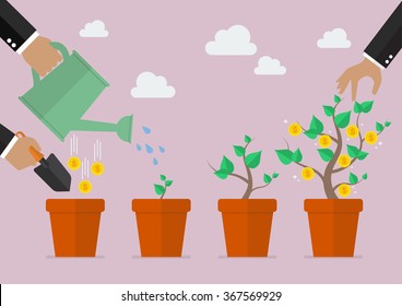 Financial growth process. Planting process business metaphor