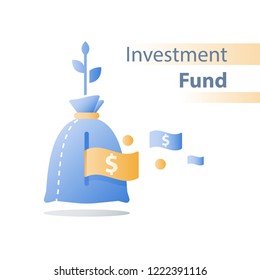 Financial invest fund, revenue increase, income growth, budget plan, return on investment, long term strategy, wealth management, more money, high interest, pension savings, superannuation concept