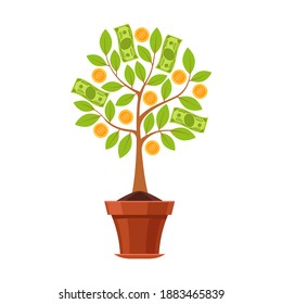 Planta financiera. Árbol verde en maceta florida con hojas, monedas de flores doradas y dinero en dólares, beneficio de inversión empresarial, ahorro y crecimiento de dinero. Concepto de cartografía plana vectorial de símbolo de riqueza y éxito