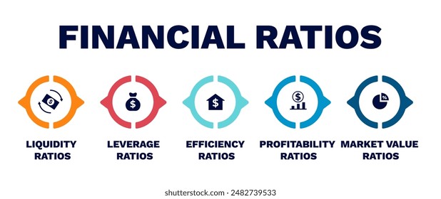 Financial ratios diagram. Business investment with financial profit and marketing liquidity taking into account solvency of vector client