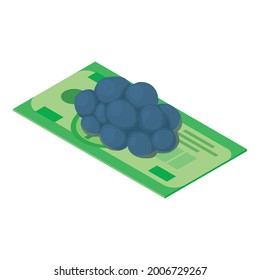 Financial risk icon. Isometric illustration of financial risk vector icon for web