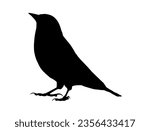 Finch bird silhouette vector art white background