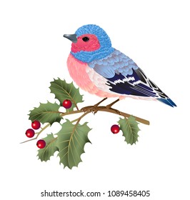 Finch bird sitting on holly twig. Design element. For banners, posters, leaflets and brochures.