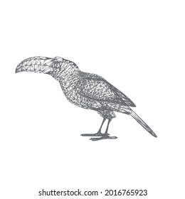 finch bird vector design illustration