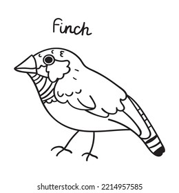 Finch. Bird. Vector illustration on white background.