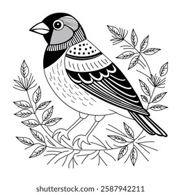 Finch bird vintage style illustration