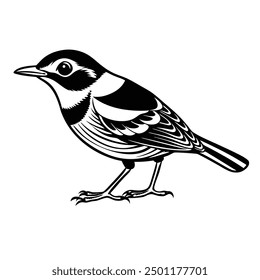 finch birds silhouette victor illustration file
