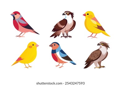 Pinzón, canario, águila pescadora icono Arte vectorial