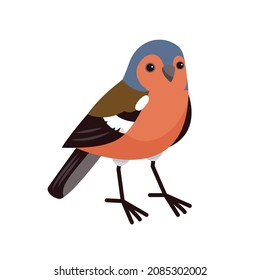 Finch In Cartoon Style Isolated On A White Background. City Birds. Vector Flat Illustration.