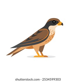 
Finch hawk animal isolado vetor plano ilustração no fundo branco.