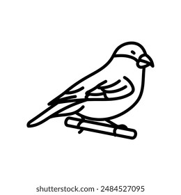 Finch Outline Icon, Vector illustration