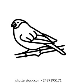 Finch Outline Icon, Vector illustration