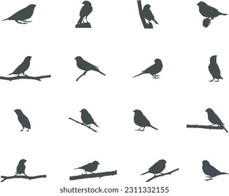 Finch silhouette, Finch birds silhouette, Birds silhouette, Bird vector, Finch vector illustration.