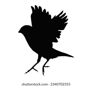 Finch silhouette icon vector on a white background.