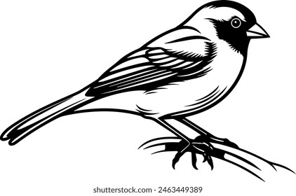 finch silhouette vector illustration, bird