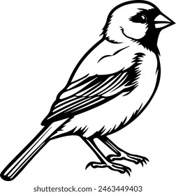 finch silhouette vector illustration, bird