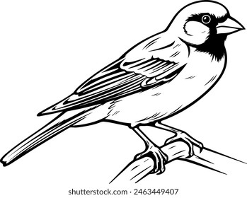 finch silhouette vector illustration, bird