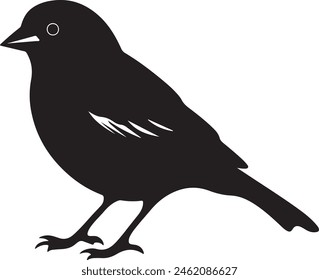 Finch Silhouette Vector Illustration White Background
