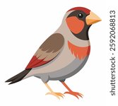 Finch vector Silhouette on white background