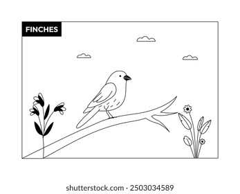 Finches on long tree branch, black and white, outline, birds vector illustration.