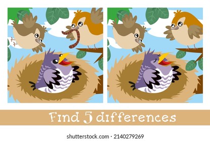 Find 5 differences. Game for children.  Birds near nest. Hand drawn full color illustration. Vector flat cartoon picture.