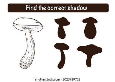 Find Correct Boletus Silhouette Educational Game for Kids. Shadow matching activity for children with edible mushrooms. Preschool puzzle. Educational worksheet